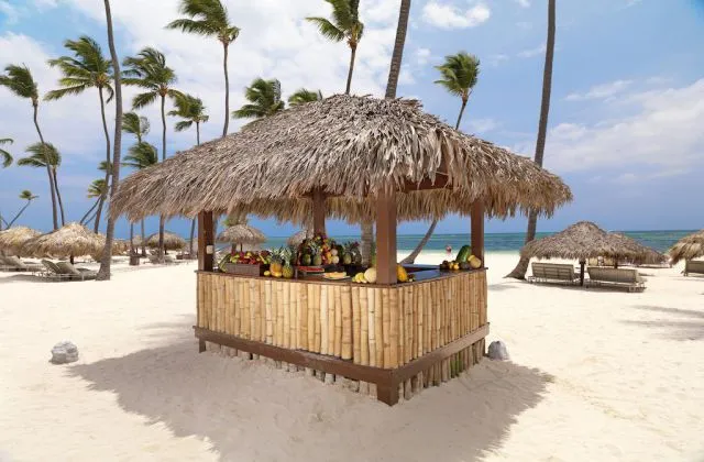 Paradisus Palma Real Resort Punta Cana Bar Playa